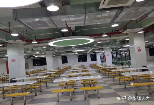 惠州大型电子厂怎么样